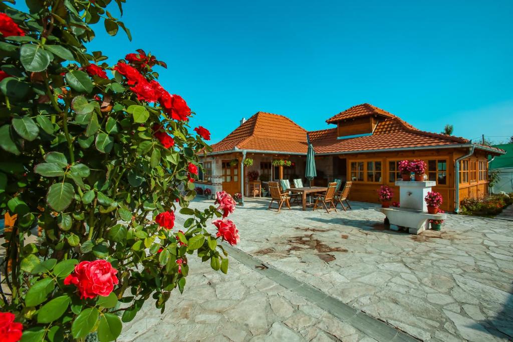 Zahrada ubytování Seosko turisticko domacinstvo Radivojevic