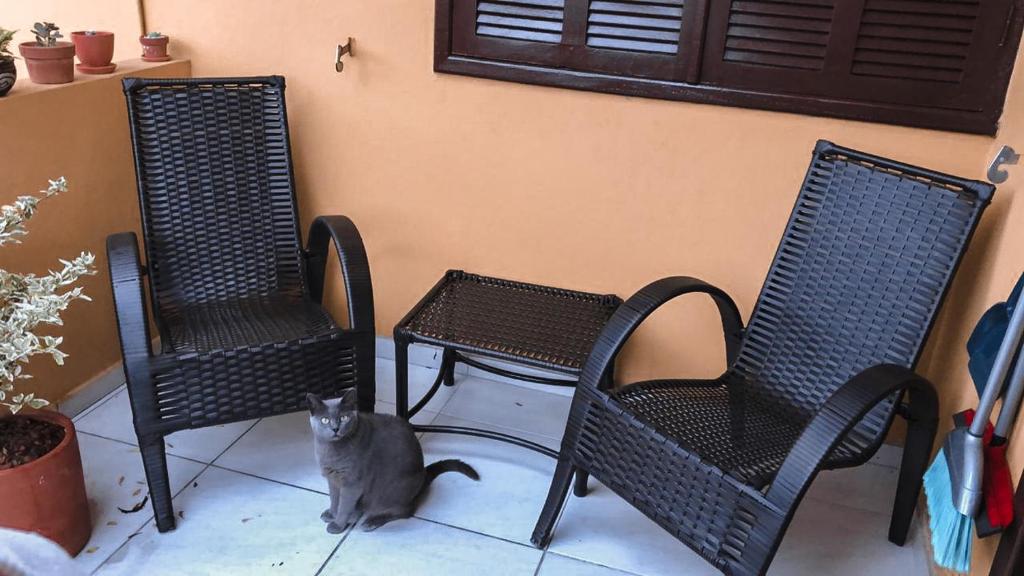  Apartamento475 Ingleses