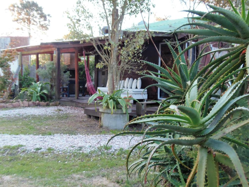 einen Garten mit einem Haus mit weißen Stühlen und einem Baum in der Unterkunft Cabañas Techarí in Punta Del Diablo
