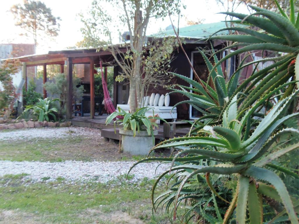 Cabañas Techarí - Housity