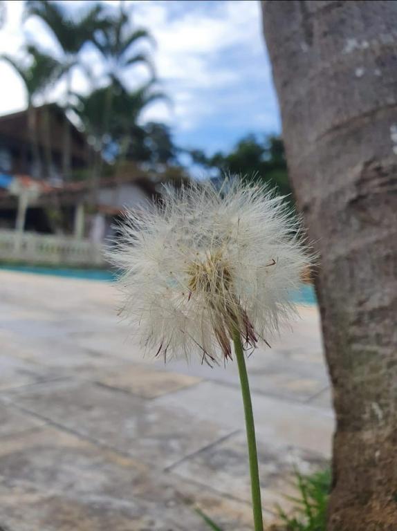  Recanto da Paz