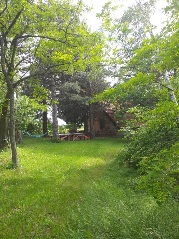 Zahrada ubytování Lodging Vidmar