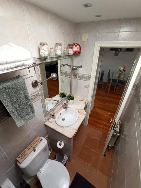 łazienka z toaletą, umywalką i lustrem w obiekcie La casa de LA FLORA a 3 minutos de la catedral VUT09187 w mieście Burgos