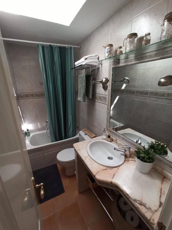 łazienka z umywalką, toaletą i lustrem w obiekcie La casa de LA FLORA a 3 minutos de la catedral VUT09187 w mieście Burgos
