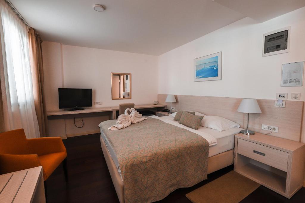 TV a/nebo společenská místnost v ubytování Hotel Borovnik