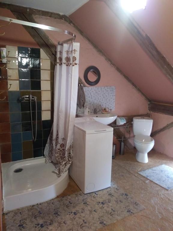 Koupelna v ubytování Miejsce Mocy Mazury