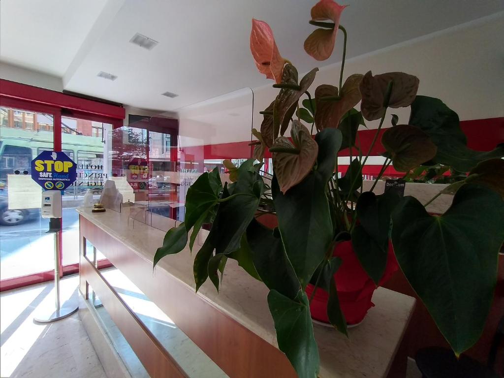 Posezení v ubytování Hotel Principe Eugenio