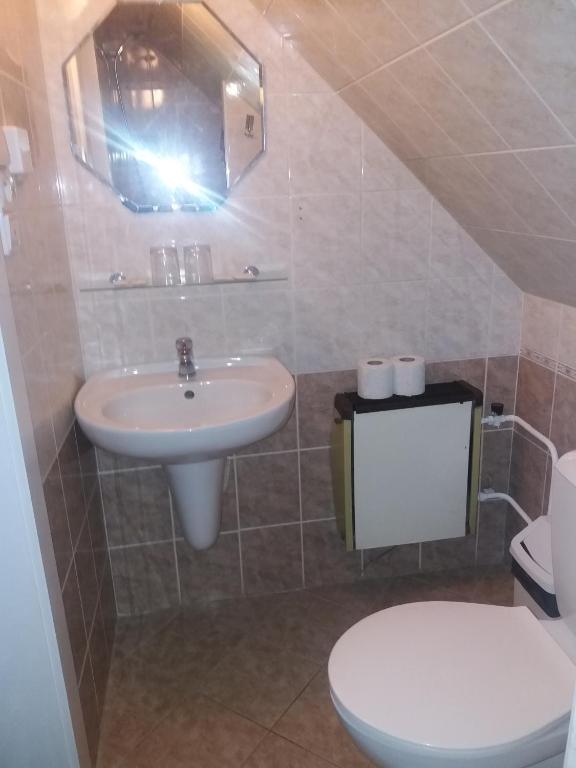 Koupelna v ubytování Penzion Paseky U Zapadlych vlastencu
