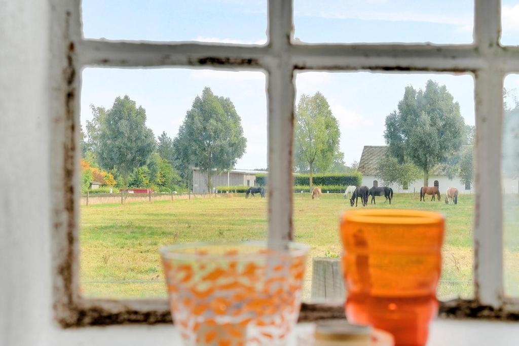 Zahrada ubytování Åløkke BnB