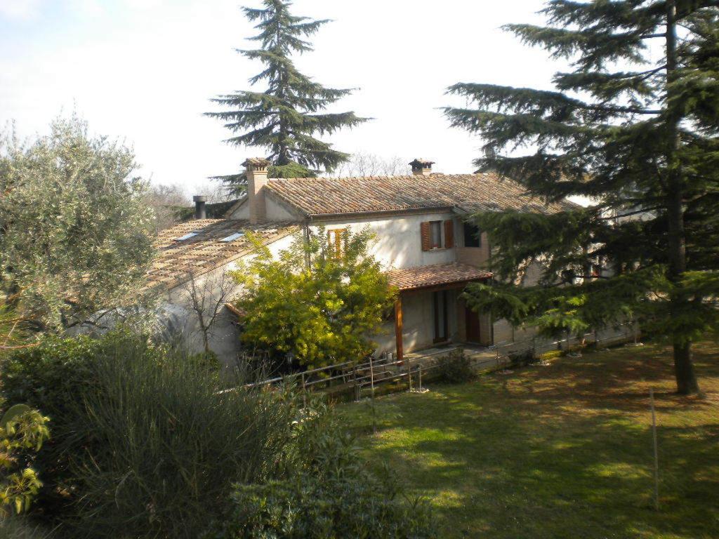 a house in the middle of a yard with trees at Agriturismo Le Vergare in Offagna