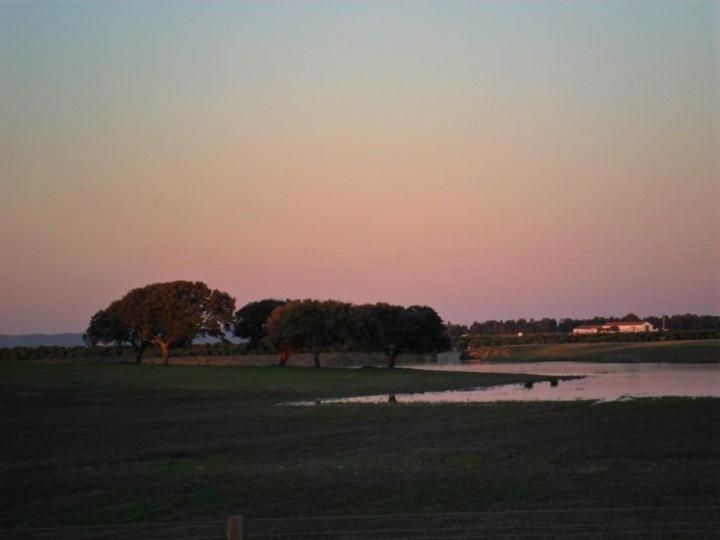 a field with trees and a body of water at Hospedaria A Italiana in Moura