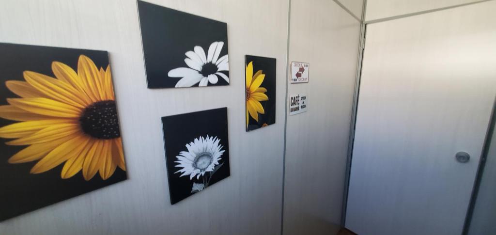 Hostel Bauru