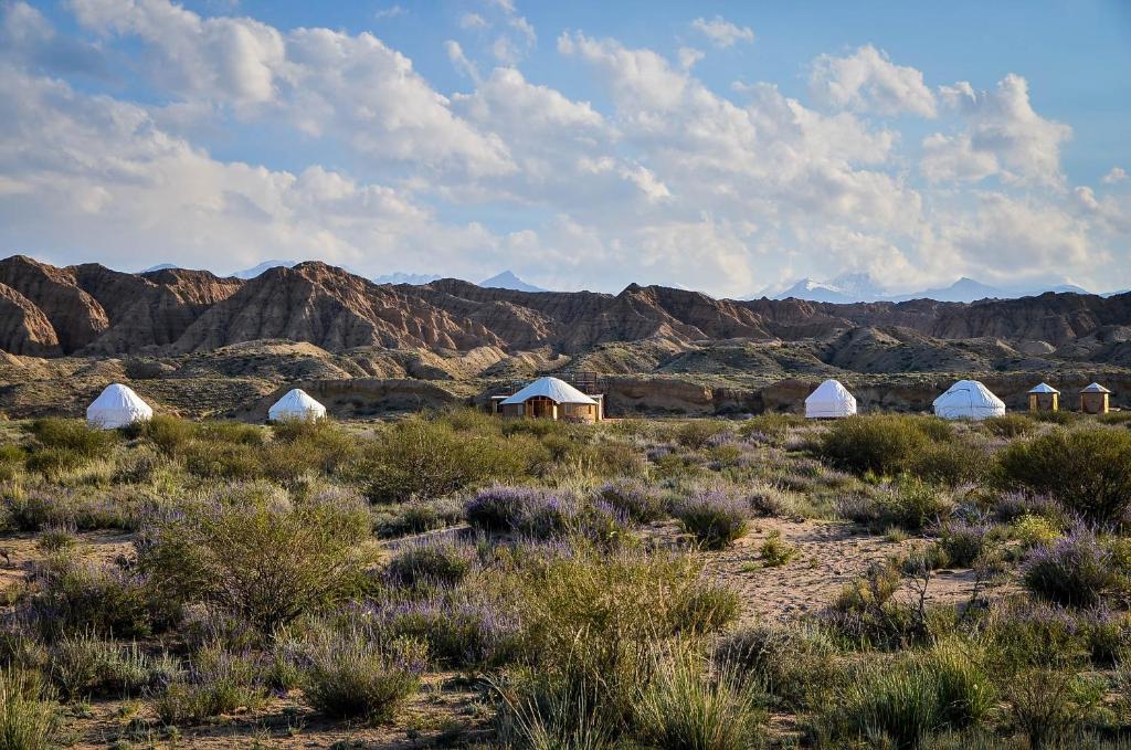 eine Gruppe von Zelten in der Wüste mit Bergen in der Unterkunft Feel Nomad Yurt Camp in Ak-Say