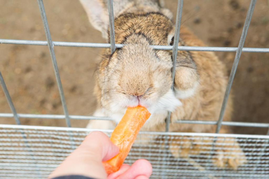 Zvířata v rezortu nebo okolí