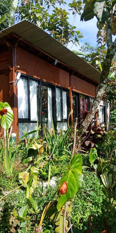 Zahrada ubytování jungleadventure cabin camping