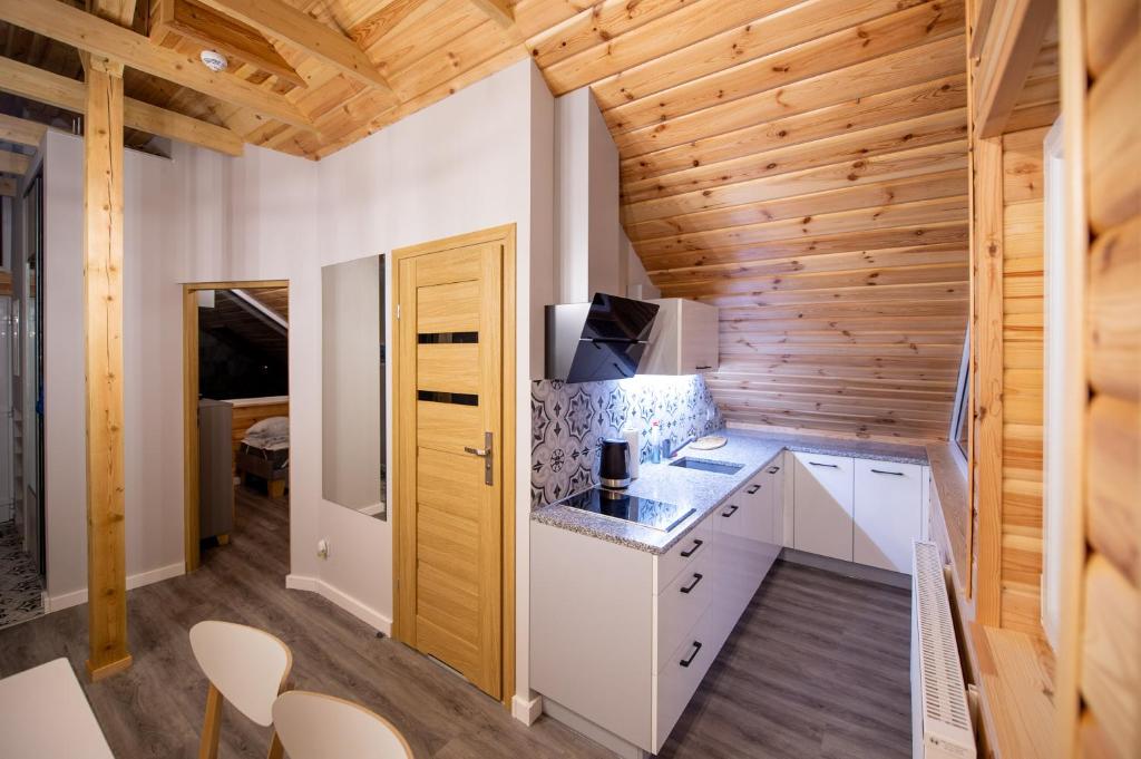 Kuchyňa alebo kuchynka v ubytovaní Apartamenty Eksploris