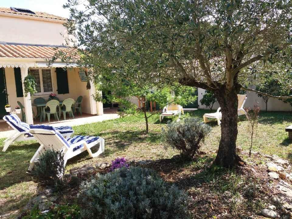 une cour avec deux chaises et un arbre dans l'établissement Le clos de la Plage - Villa vintage avec jardin privatif- 500m de la plage - 6 personnes, à Dolus-d'Oléron