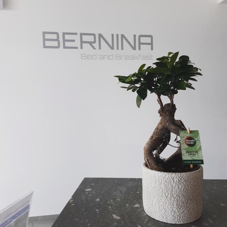 Fotografie z fotogalerie ubytování Bernina Bed and Breakfast v destinaci Davos