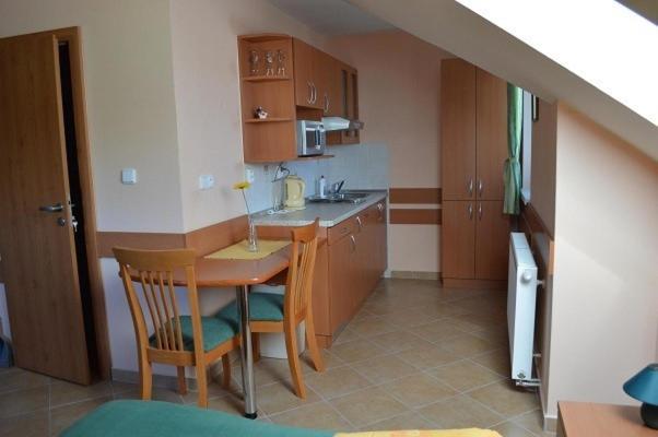 Kuchyň nebo kuchyňský kout v ubytování Apartmany Svaty Kriz