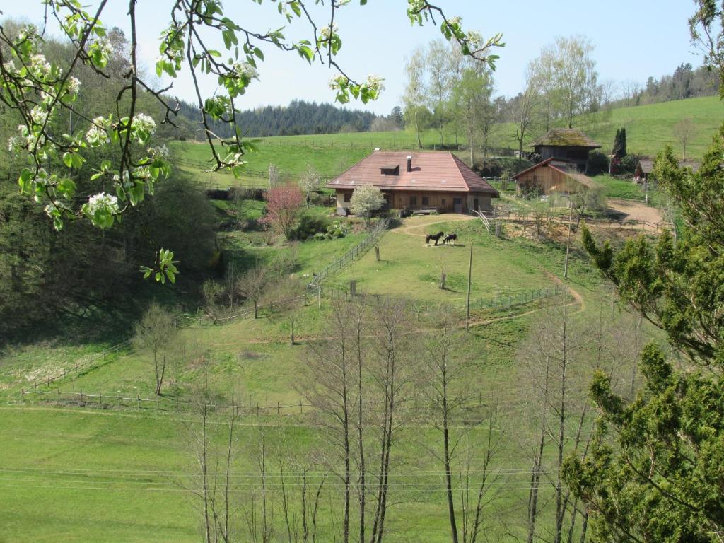 een huis op een heuvel met een paard in een veld bij Hernis-Höfle in Eilet