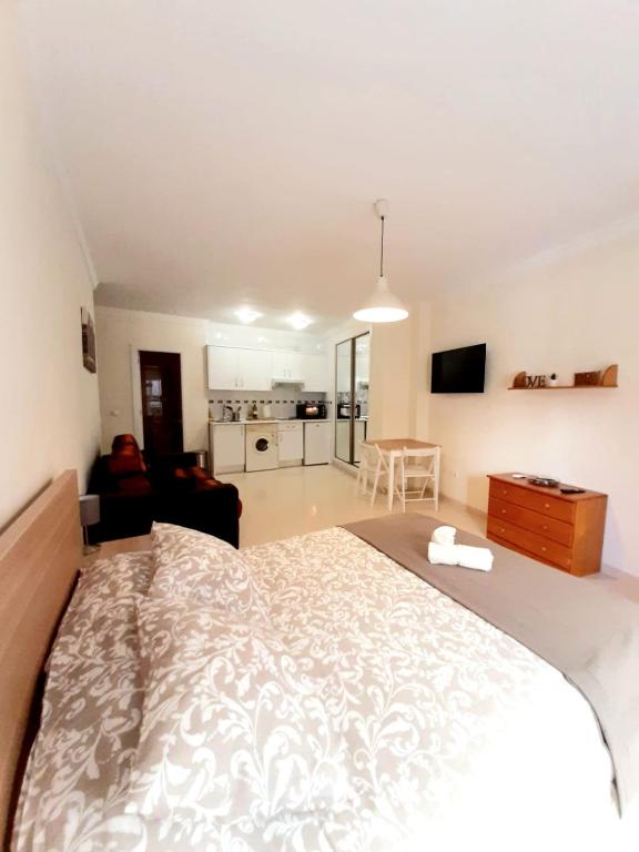 a bedroom with a large bed and a living room at Central Estudio Málaga in Málaga