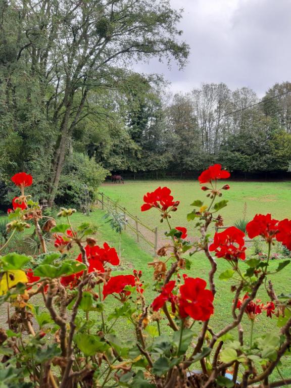 Zahrada ubytování Manoir de la Peignie