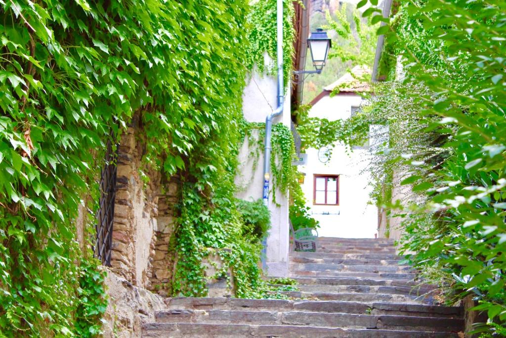 an alley with stairs in an ivy covered building at Smile Apartments zum Goldenen Strauß in Dürnstein