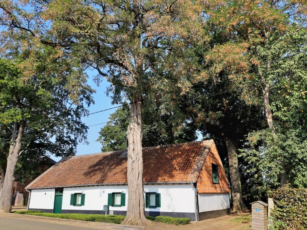 a white and green house with a tree at Lemen huis Houwaart in Tielt