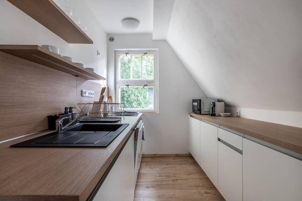 Kuchyň nebo kuchyňský kout v ubytování Villa Wurmfeld