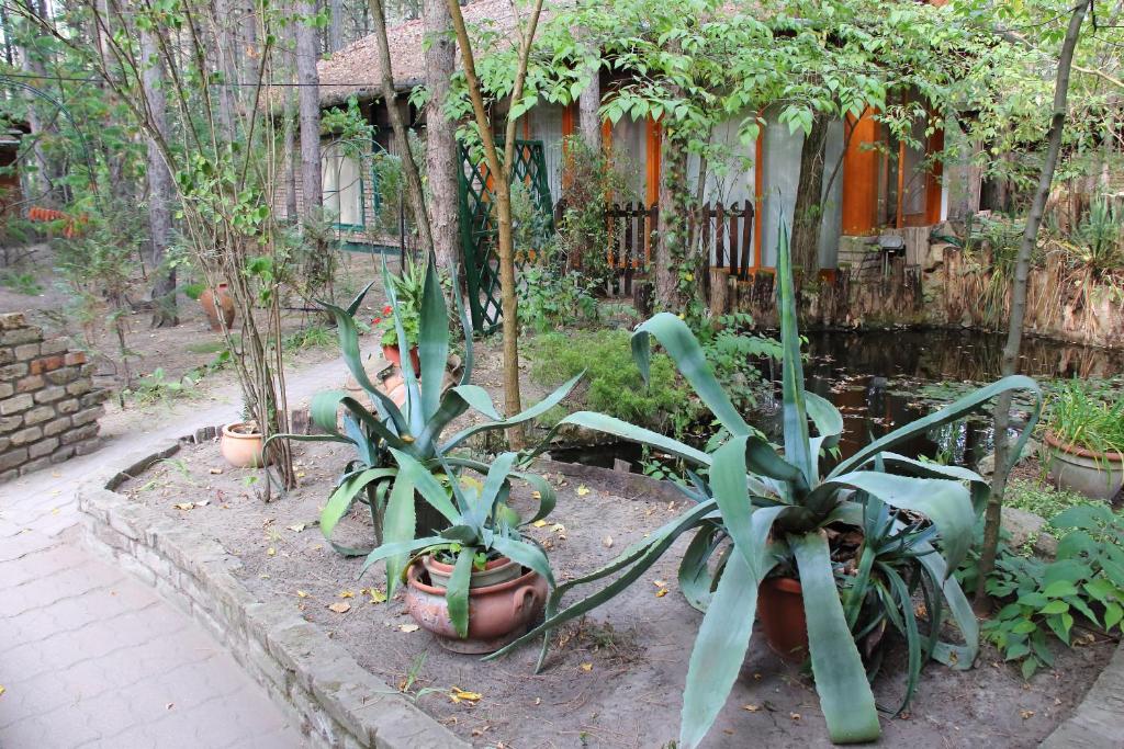Vonkajšia záhrada v ubytovaní Ambiente