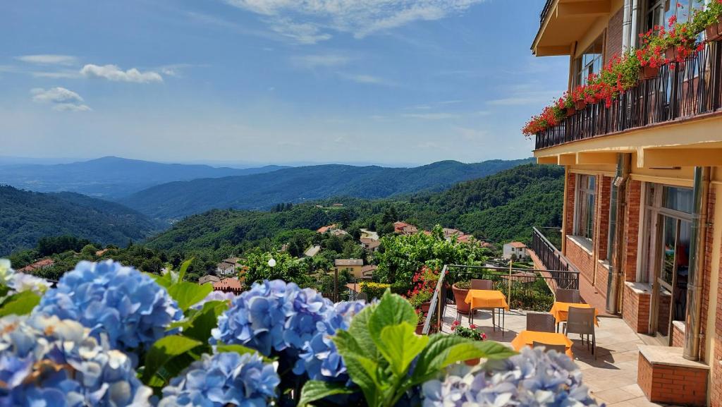 Aparthotel Amelia Dream View