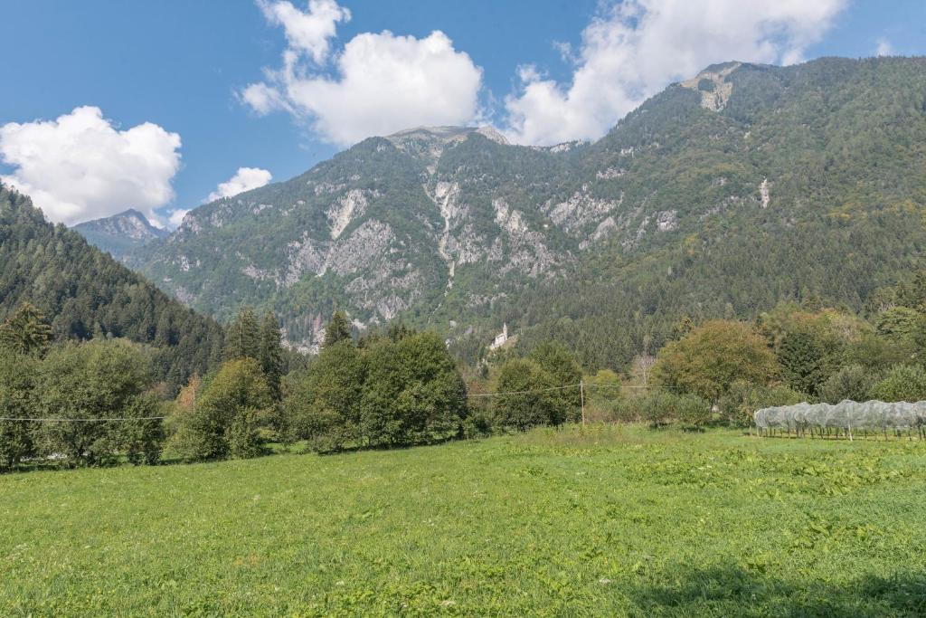 Príroda v okolí apartmánu