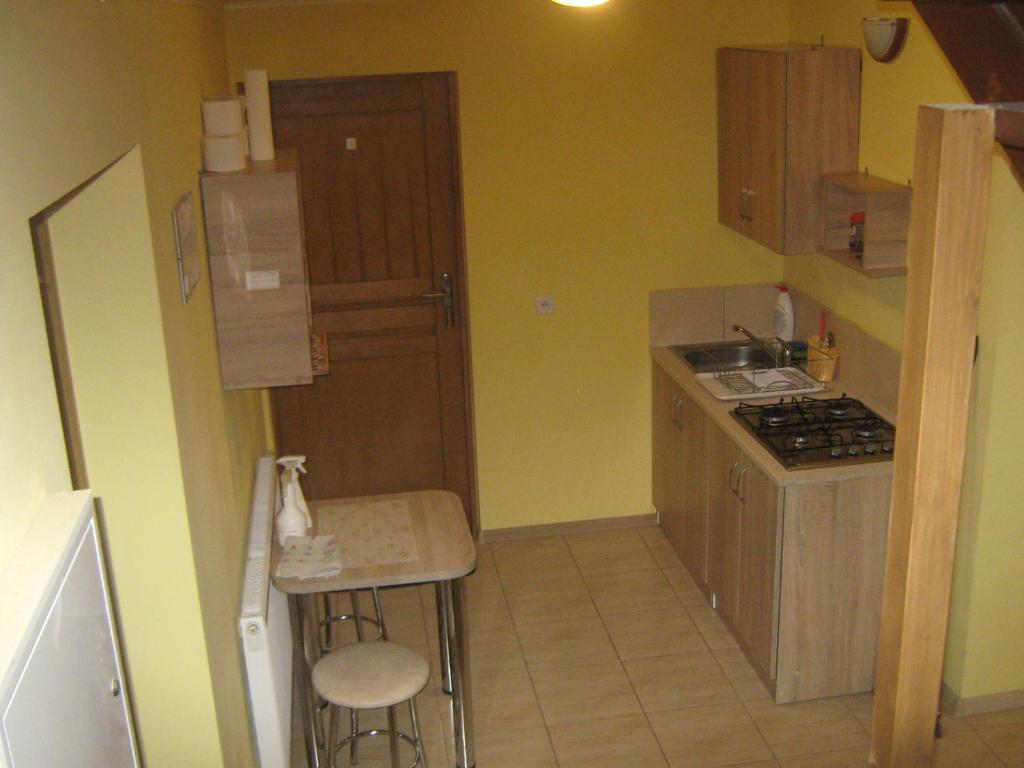 uma pequena cozinha com um lavatório e um fogão em Pokoje gościnne u Kaski em Krościenko
