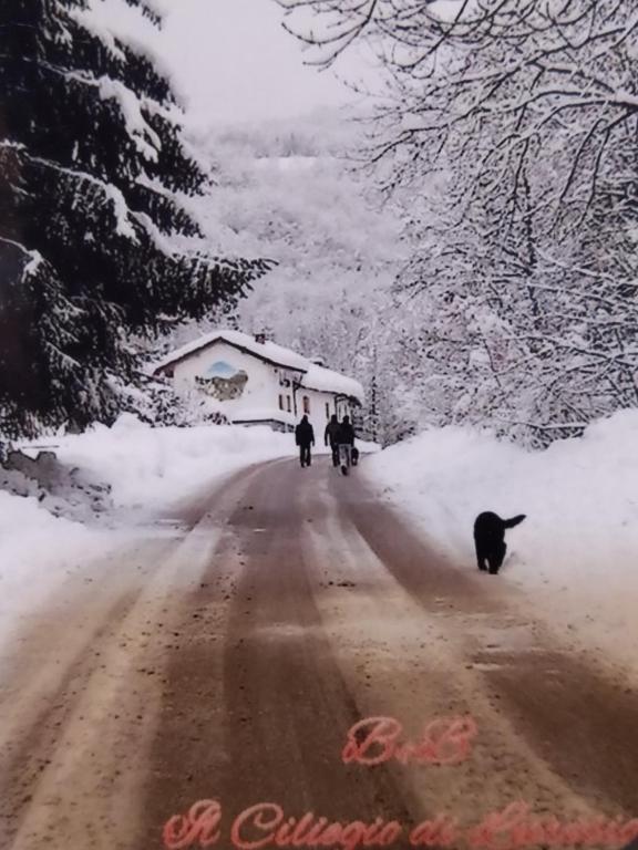 Il Ciliegio di Lurisia v zimě