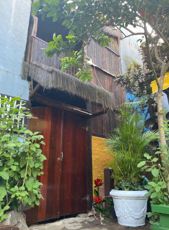  Canto do Bouganville