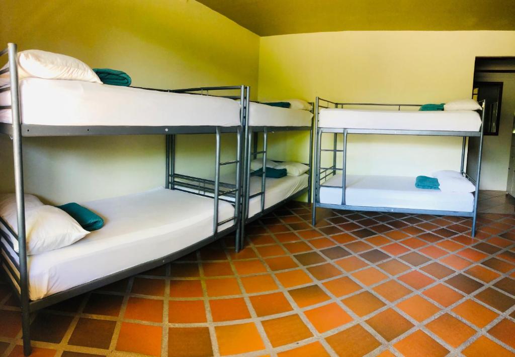 Arenal Backpackers Resort - Bunk Bed In Female Dormitory Room