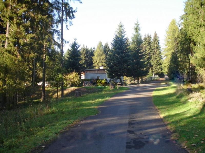 una carretera arbolada con una casa en la distancia en Ferienwohnung am Spitzberg, en Suhl