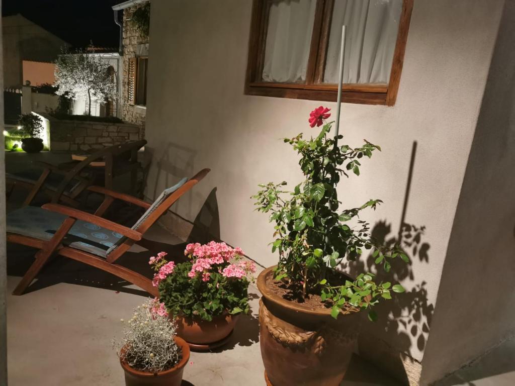 Ogród w obiekcie Rooms & Apartment STELIO