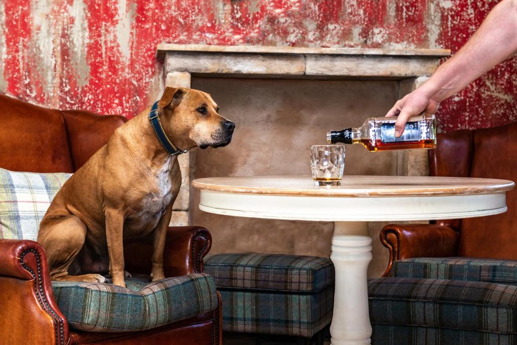 Petneházy Aparthotel - Resim 28