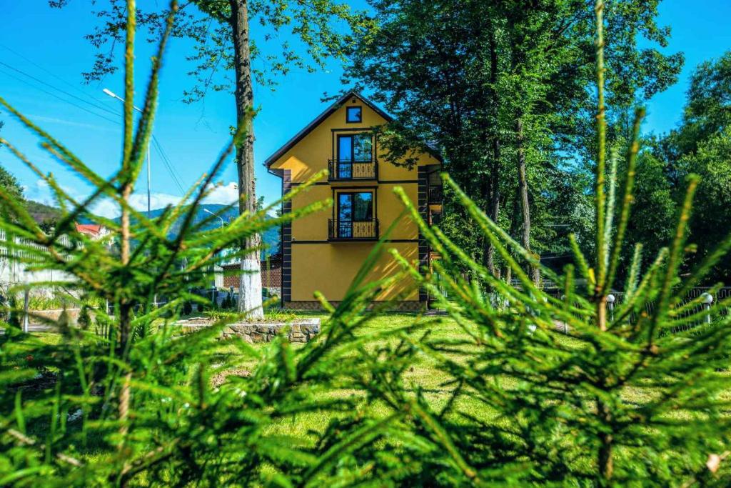 Apartments in Polyana - Grenier