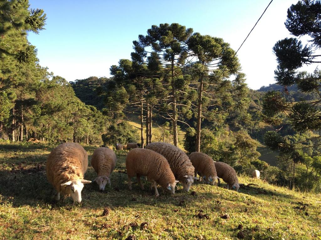  Paraíso na Montanha