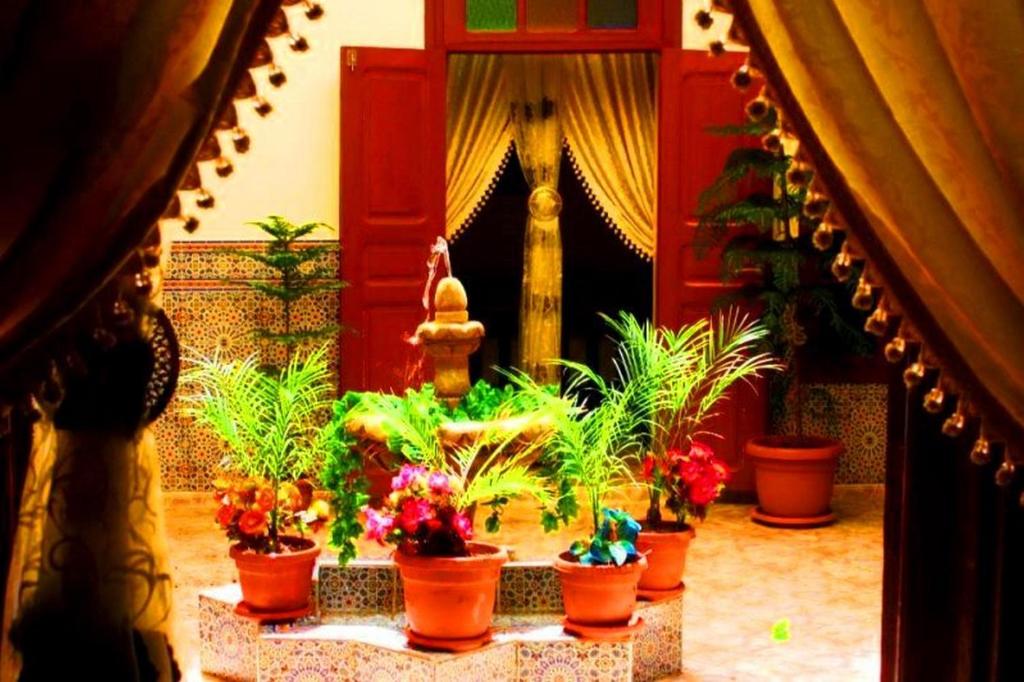 a group of potted plants in a room with stairs at Dar Al Fassia in Oujda