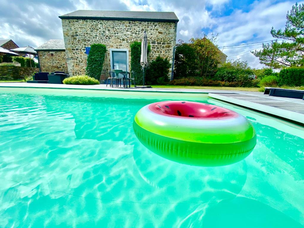 un frisbee verde y rojo en una piscina en LE REFUGE D'ELI - Le Gîte en Vitrival