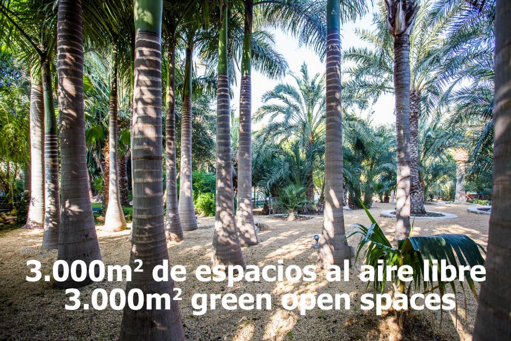 Kép Apartamentos El Palmeral de Madaria szállásáról Alicantéban a galériában