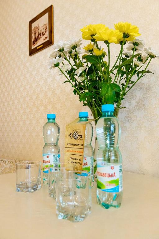 Nápoje v ubytování Guest House Shale