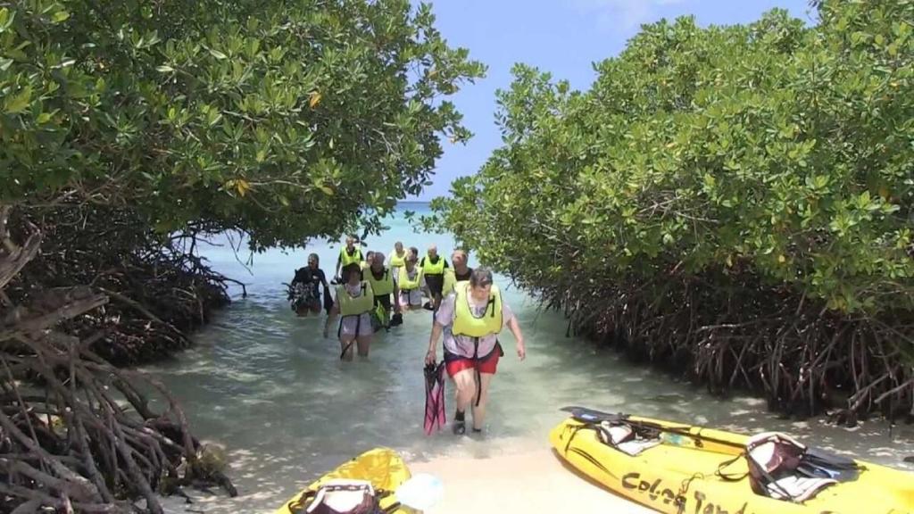 a group of people walking into the water with a kayak at Trailer Beach Front Cottage in Savaneta