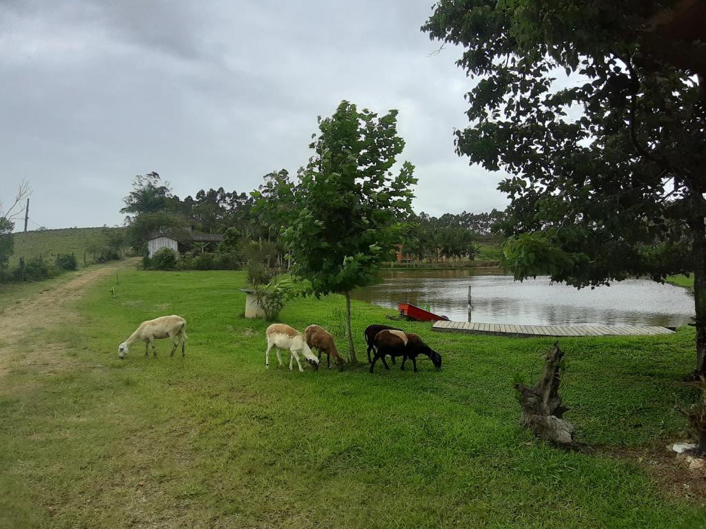  Sitio Ide Camping
