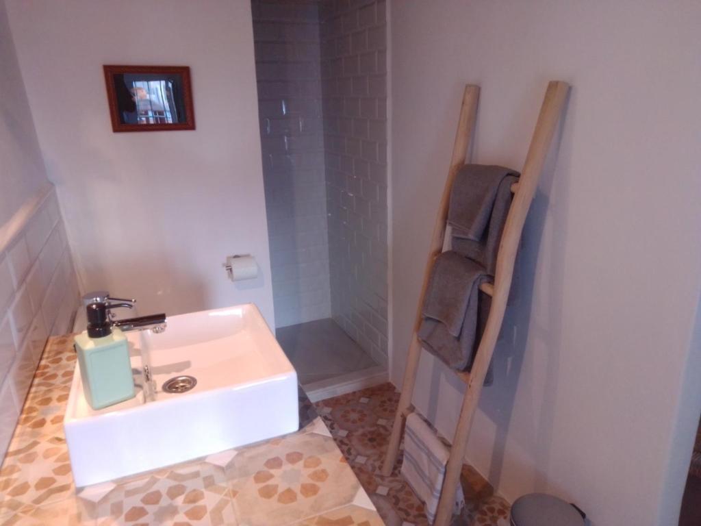 y baño con lavabo blanco y ducha. en La Puerta Azul, en Bornos