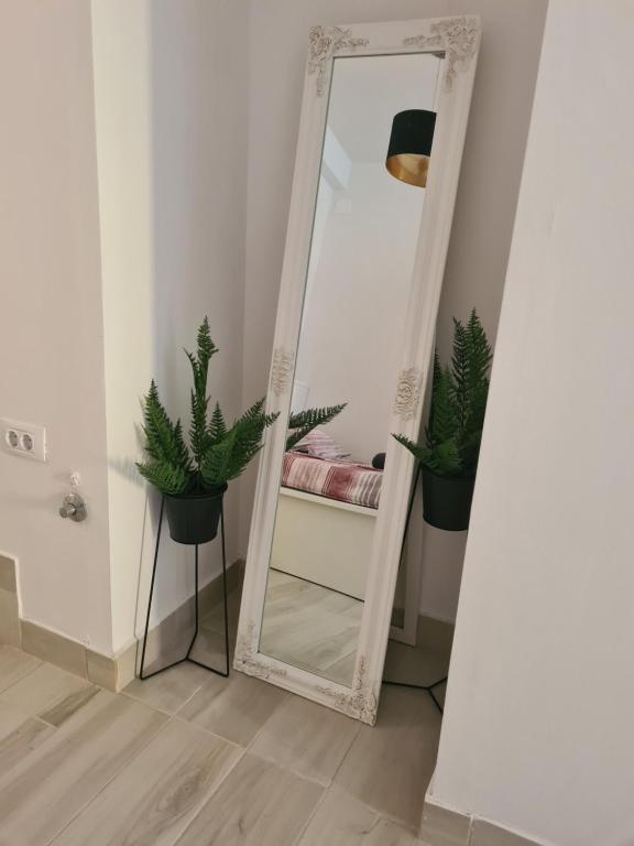Zdjęcie z galerii obiektu Polei Istria w Puli