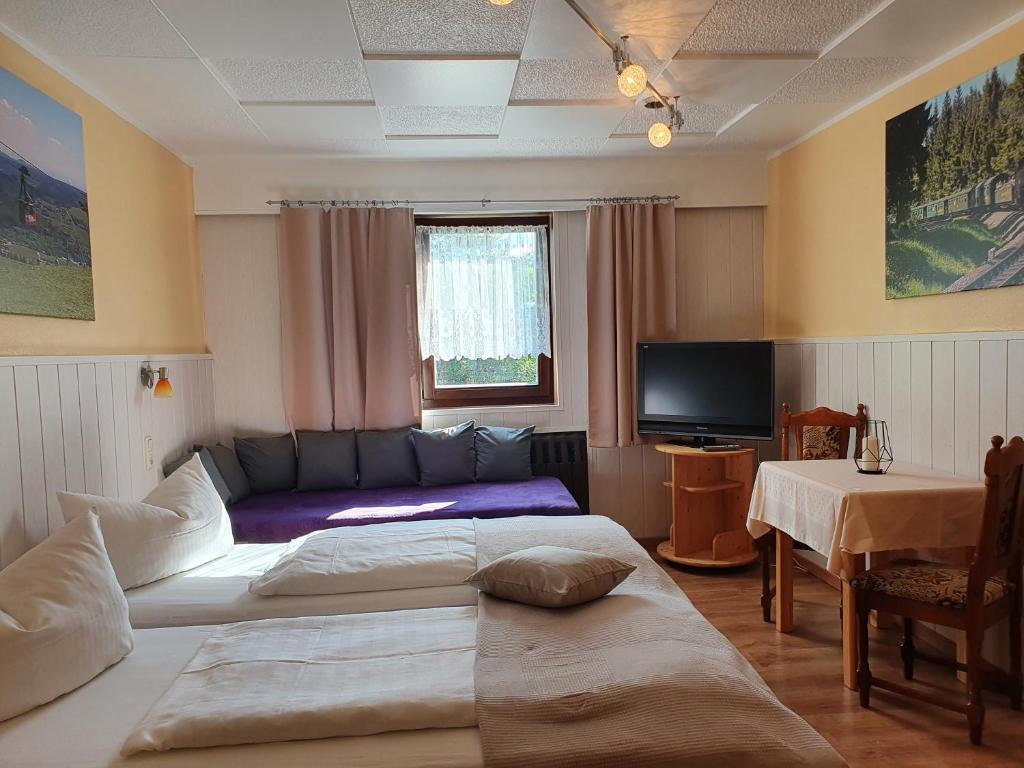 TV a/nebo společenská místnost v ubytování Gästehaus Hutweide